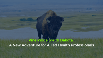 Pine Ridge SD: A New Adventure for Allied Health Professionals